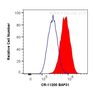 BAP31 Antibody in Flow Cytometry (Flow)