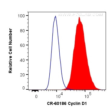 Cyclin D1 Antibody in Flow Cytometry (Flow)