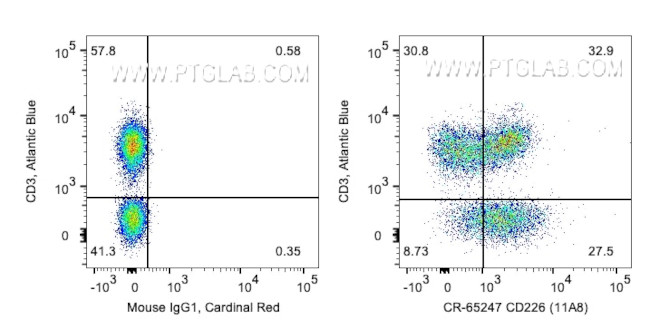 CD226 Antibody in Flow Cytometry (Flow)