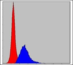 Crk Antibody in Flow Cytometry (Flow)