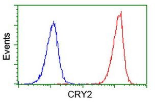 CRY2 Antibody in Flow Cytometry (Flow)