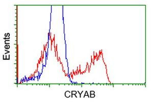 CRYAB Antibody in Flow Cytometry (Flow)