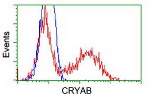 CRYAB Antibody in Flow Cytometry (Flow)