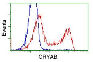 CRYAB Antibody in Flow Cytometry (Flow)