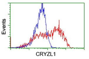 CRYZL1 Antibody in Flow Cytometry (Flow)