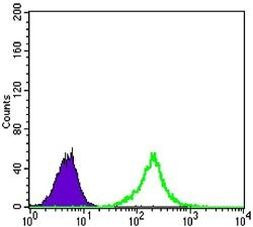 beta Catenin Antibody in Flow Cytometry (Flow)