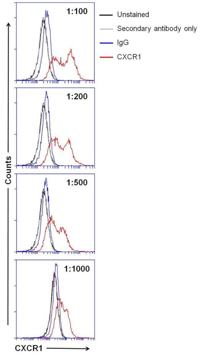 CXCR1 Antibody in Flow Cytometry (Flow)