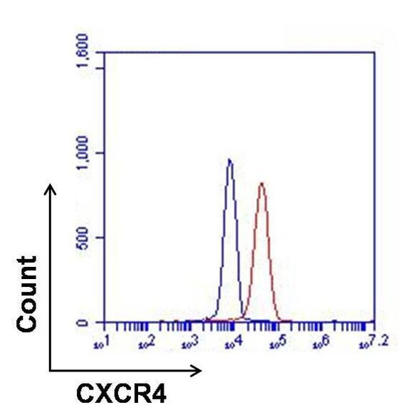 CXCR4 Antibody in Flow Cytometry (Flow)