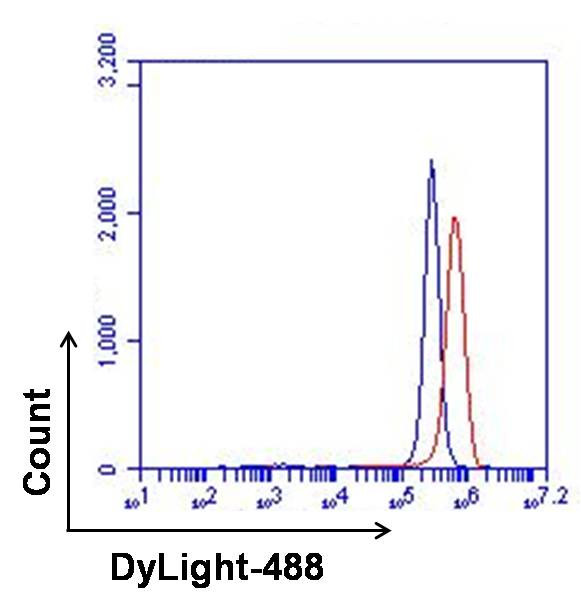 CXCR4 Antibody in Flow Cytometry (Flow)