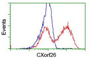 CXorf26 Antibody in Flow Cytometry (Flow)