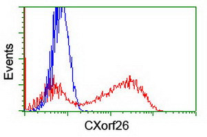 CXorf26 Antibody in Flow Cytometry (Flow)