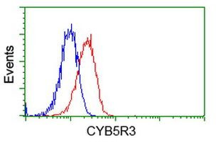 CYB5R3 Antibody in Flow Cytometry (Flow)