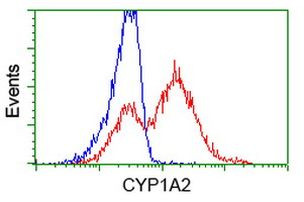 CYP1A2 Antibody in Flow Cytometry (Flow)