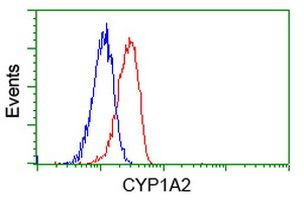 CYP1A2 Antibody in Flow Cytometry (Flow)