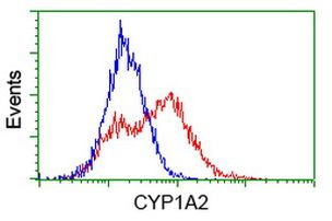 CYP1A2 Antibody in Flow Cytometry (Flow)