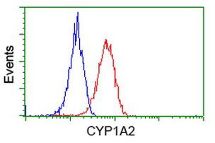 CYP1A2 Antibody in Flow Cytometry (Flow)