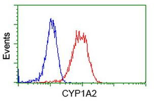 CYP1A2 Antibody in Flow Cytometry (Flow)