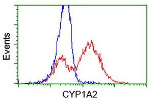 CYP1A2 Antibody in Flow Cytometry (Flow)