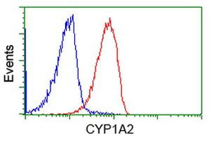 CYP1A2 Antibody in Flow Cytometry (Flow)