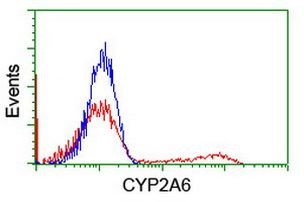 CYP2A6 Antibody in Flow Cytometry (Flow)