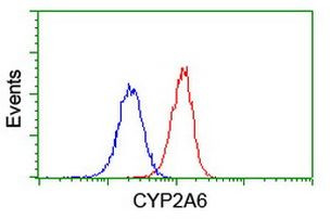 CYP2A6 Antibody in Flow Cytometry (Flow)