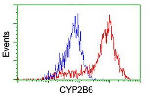 CYP2B6 Antibody in Flow Cytometry (Flow)