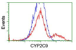 CYP2C9 Antibody in Flow Cytometry (Flow)