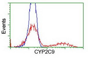 CYP2C9 Antibody in Flow Cytometry (Flow)