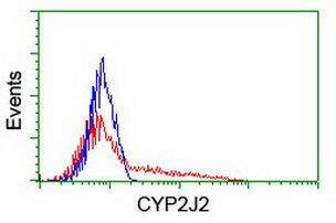 CYP2J2 Antibody in Flow Cytometry (Flow)