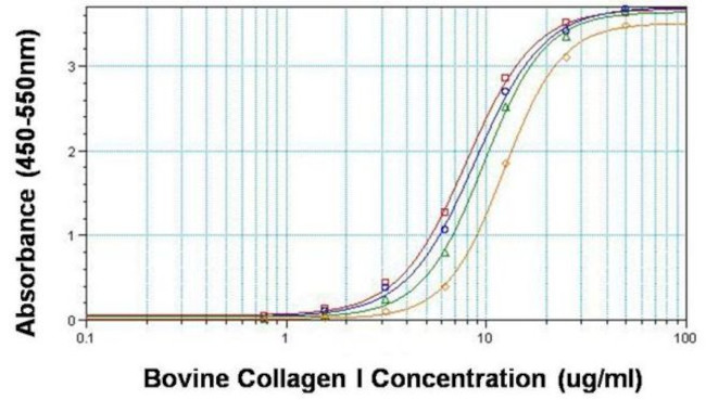 Collagen I Antibody in ELISA (ELISA)