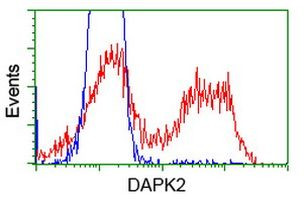 DAPK2 Antibody in Flow Cytometry (Flow)