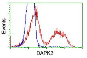 DAPK2 Antibody in Flow Cytometry (Flow)