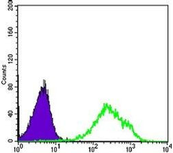 DAXX Antibody in Flow Cytometry (Flow)