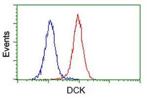 DCK Antibody in Flow Cytometry (Flow)