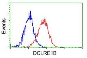 DCLRE1B Antibody in Flow Cytometry (Flow)