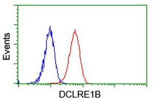 DCLRE1B Antibody in Flow Cytometry (Flow)