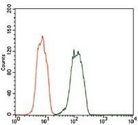 Dynactin 4 Antibody in Flow Cytometry (Flow)