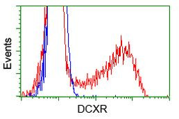 DCXR Antibody in Flow Cytometry (Flow)