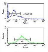 DENND1A Antibody in Flow Cytometry (Flow)