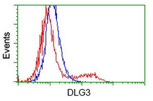 DLG3 Antibody in Flow Cytometry (Flow)