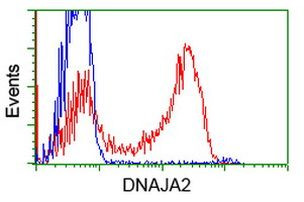 DNAJA2 Antibody in Flow Cytometry (Flow)