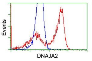 DNAJA2 Antibody in Flow Cytometry (Flow)