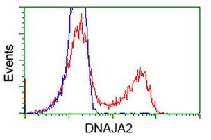 DNAJA2 Antibody in Flow Cytometry (Flow)