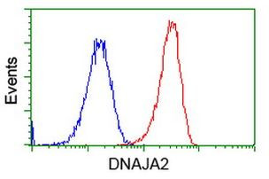 DNAJA2 Antibody in Flow Cytometry (Flow)