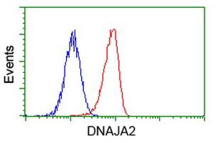 DNAJA2 Antibody in Flow Cytometry (Flow)