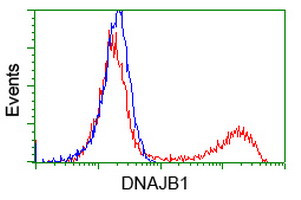 DNAJB1 Antibody in Flow Cytometry (Flow)