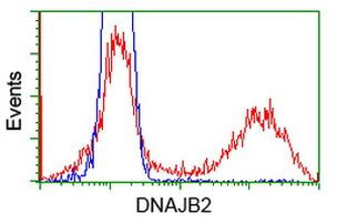 DNAJB2 Antibody in Flow Cytometry (Flow)