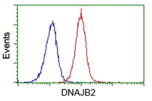 DNAJB2 Antibody in Flow Cytometry (Flow)