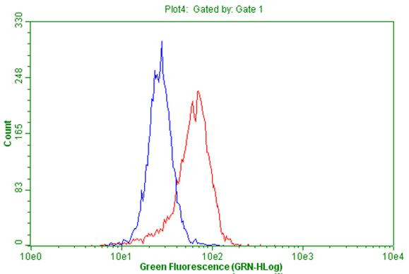 DOCK8 Antibody in Flow Cytometry (Flow)