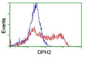 DPH2 Antibody in Flow Cytometry (Flow)